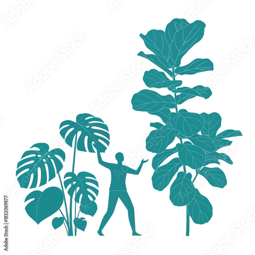 Silhouette of a person amidst towering tropical foliage showcasing scale and nature's grandeur