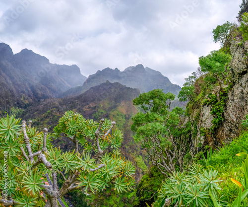 madeira mountain ranges in the clouds Portugal 