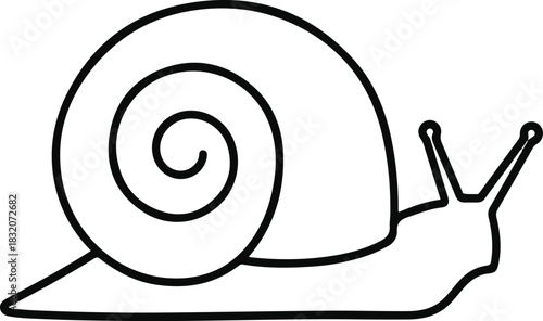 Snail body and shell designed with symmetrical curved lines for balanced simplicity