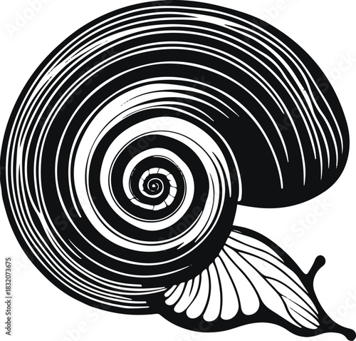  Snail shell made from repeating parallel curved lines, ultra-minimal1