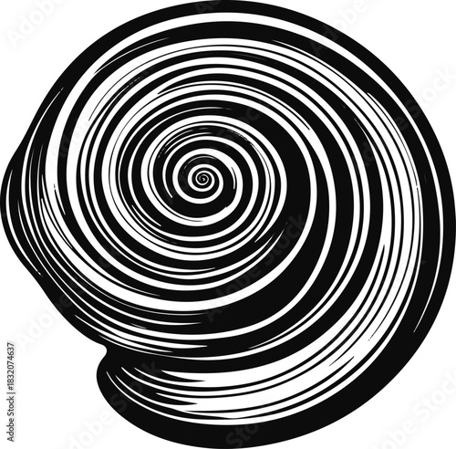 Abstract snail shell represented as layered concentric line spirals. 1