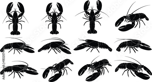 Lobster silhouette collection, black vector icons in varied poses and angles for seafood design, marine biology, crustacean study, and culinary themes