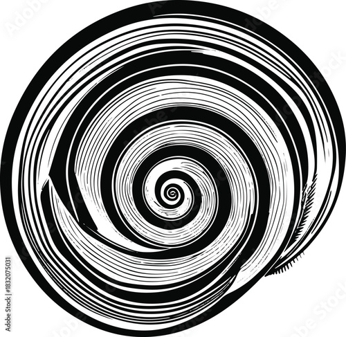 Abstract snail shell represented as layered concentric line spirals. 2
