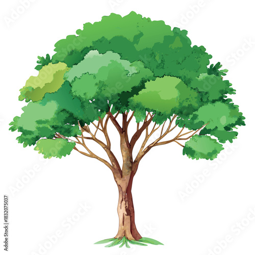 Beautiful green tree illustration with layered foliage and a textured trunk, in a clean, watercolor-style design