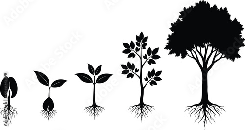 Plant growth stages silhouette set, seed to tree vector illustration, botanical lifecycle concept for biology, environment, farming, and educational design