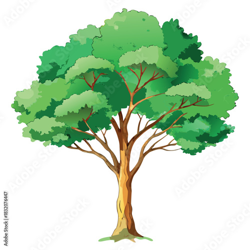 Beautiful green tree illustration with layered foliage and a textured trunk, in a clean, watercolor-style design