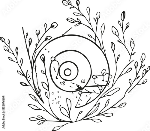 Minimal snail shell combined with botanical lines forming a natural fusion 2