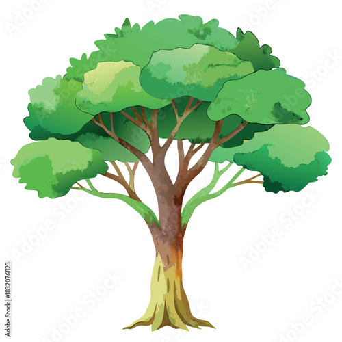 Beautiful green tree illustration with layered foliage and a textured trunk, in a clean, watercolor-style design