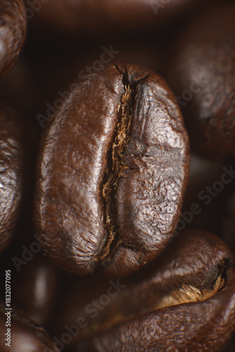 El gran grano de café