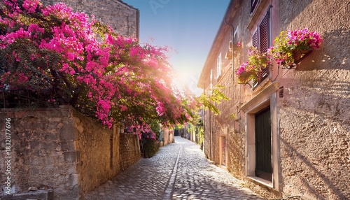 charming alley adorned with vibrant pink flowers and sunlit ston