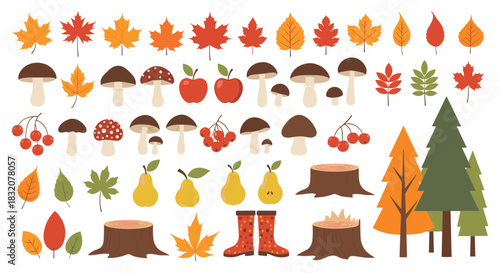 A vibrant collection of autumn-themed natural elements and seasonal objects, including leaves, mushrooms, fruits, and trees on a white background.