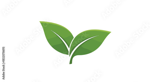 A vibrant illustration of two fresh green leaves symbolizing nature, growth, and environmental sustainability on a white background.