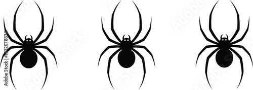 Vector Silhouette Set of Stylized Spiders, Halloween, Insect, and Danger Symbol Icons
