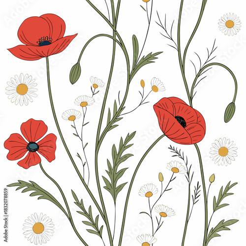 Delicate red poppies and white daisy flowers with green stems and leaves on white background