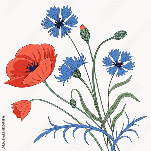 Vibrant bouquet of red poppies and blue cornflowers with green leaves and buds on a white background
