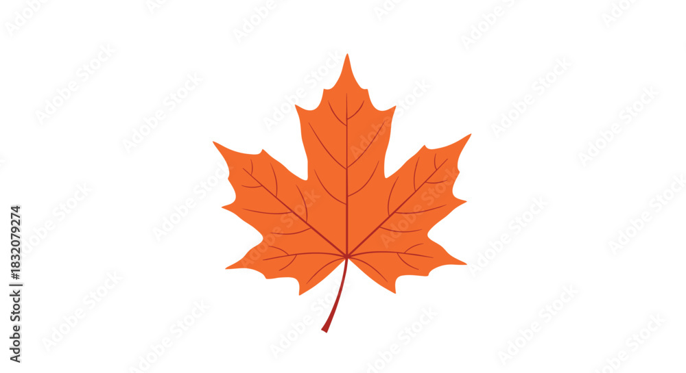 Fototapeta premium A vibrant orange maple leaf illustration perfectly captures the essence of autumn and fall, set against a clean white background.