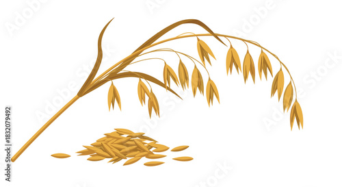 A close-up illustration of a golden oat plant stalk with its mature panicle and a scattered pile of individual oat grains at its base.