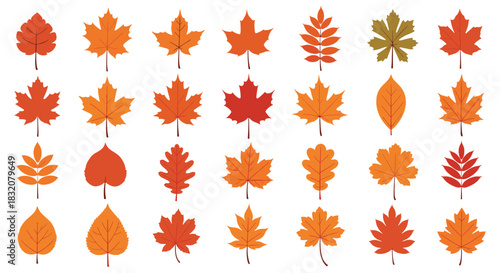 A diverse collection of colorful autumn leaves in various shapes and shades, symbolizing the beauty and vibrancy of the fall season.