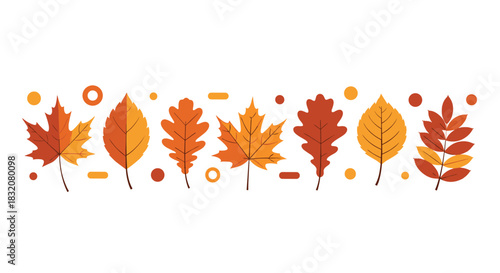 A vibrant collection of stylized autumn leaves in various shapes and warm fall colors, perfect for seasonal designs.