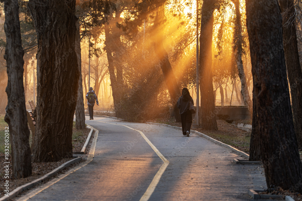 Naklejka premium Two people are walking along a paved path in a park during the golden hour. The low sun creates warm, dramatic light rays filtering through the bare trees, illuminating the path and surroundings.
