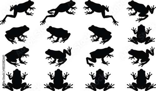 Frog animal vector silhouettes collection, set of various amphibian poses including sitting, jumping, and swimming, isolated black icons for nature and wildlife design elements.