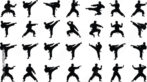 Karate and martial arts vector silhouettes collection, set of various dynamic fighting poses, kicks, and punches, perfect for combat sports and training design elements.