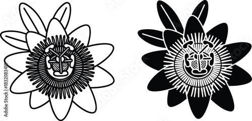 Vactor Black and white line art and silhouette of a passion flower botanical floral 1
