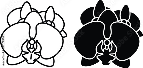 Vactor Black and white line art and silhouette of a phalaenopsis orchid flower floral
