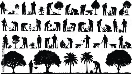 Tree planting process silhouettes, gardening activity, environmental care, nature growth, people working, soil preparation, watering plants, black icons, flat vector