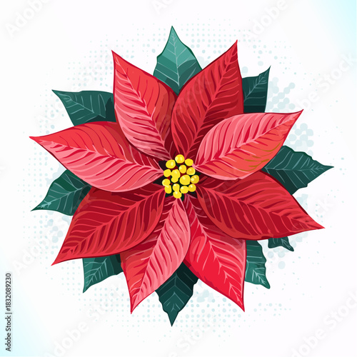 roter Weihnachtsstern - Cartoon Comic Stil