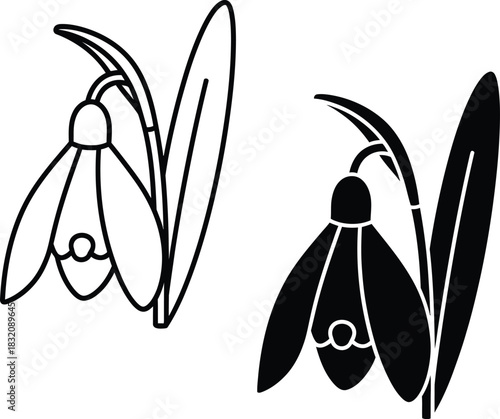 Vactor Black and white outline and silhouette of a snowdrop flower with leaves vector