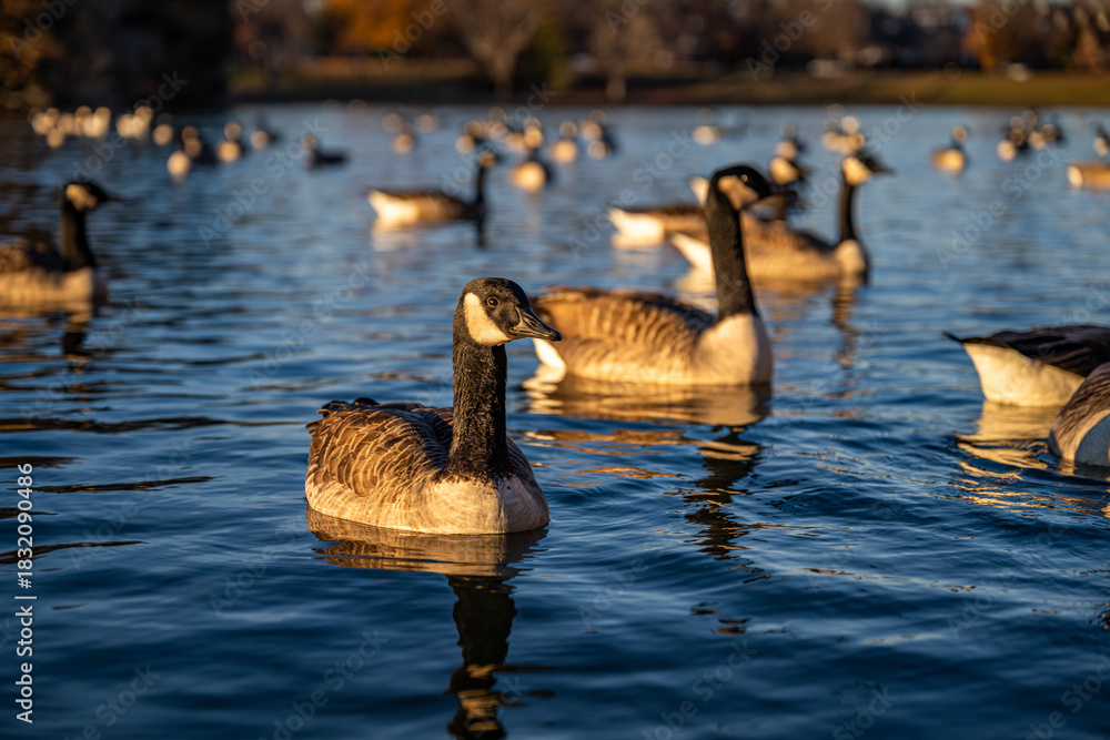 Obraz premium Richmond, Virginia