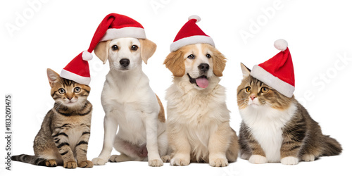 Cute group of cats and dogs wearing red Santa hats, sitting together and looking at the camera. Festive Christmas pets isolated on a clean white background. Perfect for holiday cards, winter promotion