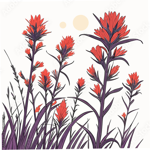 Vibrant indian paintbrush wildflowers blooming in a field under a soft sunlit sky