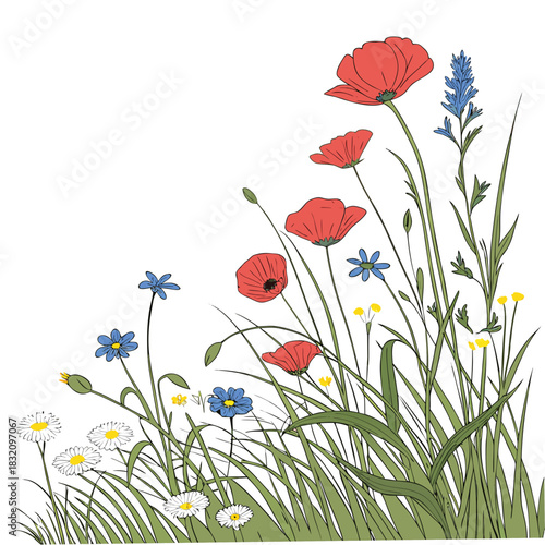 Vibrant wildflower meadow with red poppies blue cornflowers and white daisies in sunlight