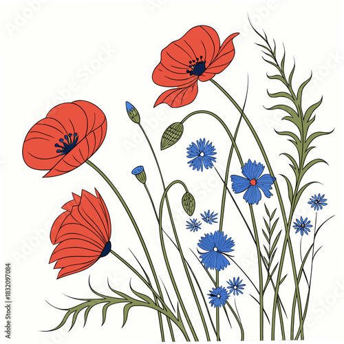 Vibrant red poppies and delicate blue cornflowers bloom together in a stylized illustration