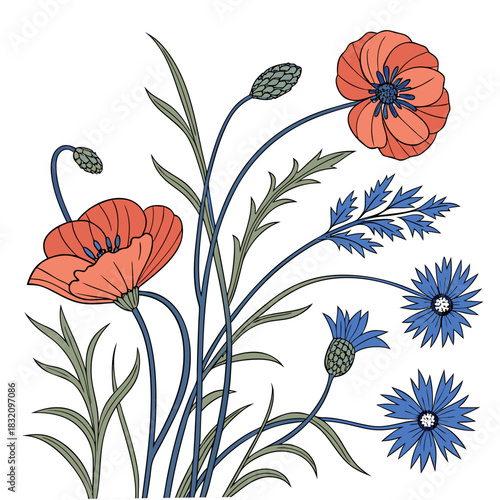 Stylized illustration of red poppies and blue cornflowers with green leaves and buds on a white background