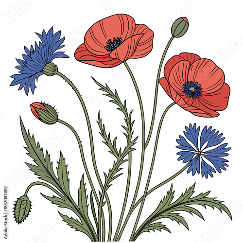 Vibrant illustration of red poppies and blue cornflowers with green leaves and buds on a white background
