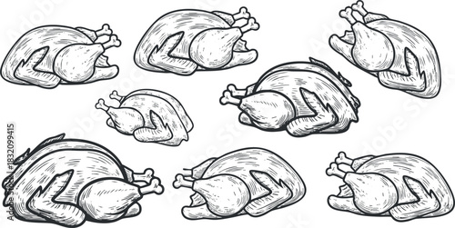 A collection of eight roasted chickens in detailed black and white sketch style, ideal for culinary artwork and food-themed projects