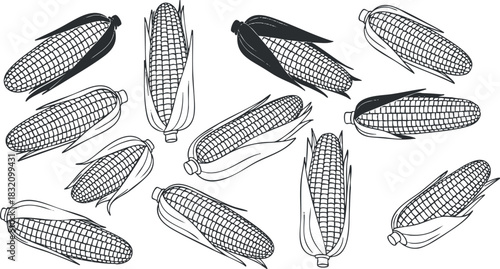 A collection of corn cobs in black and white outline vector style, perfect for agricultural designs and food-related projects