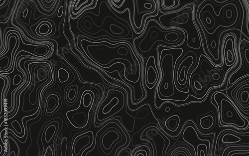 Abstract Topography line poster vector. The concept of a topographic contour geography scheme and the terrain path.	