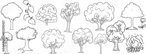Minimal style cad tree line, Side view, set of graphics trees elements outline symbol for architecture and landscape design drawing. Vector illustration in stroke fill in white. Tropical.