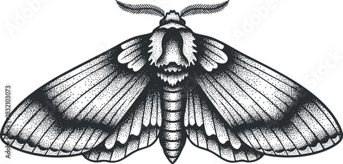 A detailed illustration of a moth with intricate wing patterns in black and white vector style, suitable for nature-themed designs