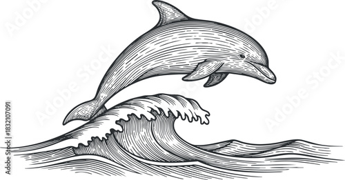 A jumping dolphin above stylized waves in black and white line art vector style, ideal for marine-themed designs