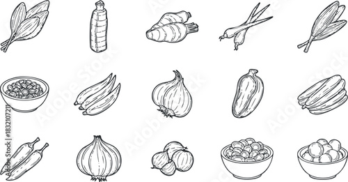A collection of various vegetables and fruits in hand-drawn outline vector style, perfect for culinary design projects