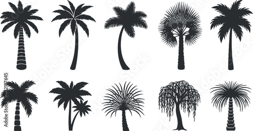 A collection of various palm tree silhouettes in black vector style, ideal for tropical-themed designs and illustrations