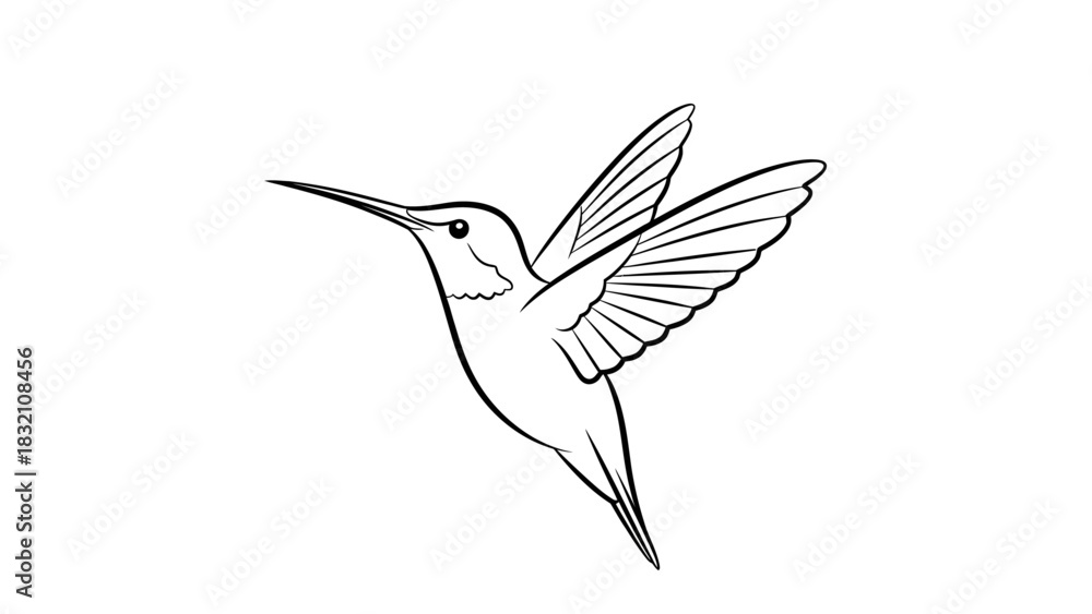 Fototapeta premium Graceful Hummingbird in Flight Line Art Illustration