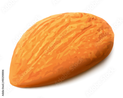 Almond nut without shell isolated on white background. Realistic 3d Vector illustration. Ready to use for your design, presentation, promo, ad. EPS10.