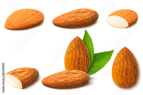 Almond nut composition, different statements. Whole and cracked nuts, hulled and raw kernels and green leaves. Good for labels and stickers, packaging design. Realistic 3d Vector illustration