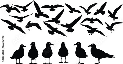Collection of black vector seagull silhouettes featuring a flock of flying birds and standing seabirds isolated on white background.